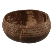 Coconuts Shell Bowl Decorative Salad Bowl Natural Food Bowl Storage Container