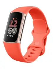 [Fitbit] CHARGE 6 APAC in Gold/Red GA05184-AP