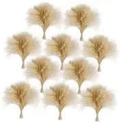 PCS Exquisite Natural Pampas Grass Decor - Versatile Reed Grasses for Home 450