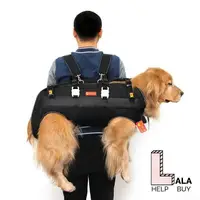 在飛比找蝦皮購物優惠-🖤台灣現貨免運🖤狗狗雙肩背包 寵物背包 保護脊椎 老狗背包 