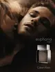 Calvin Klein 凱文克萊 euphoria 誘惑男性淡香水 100ml / 體香膏｜期間限定◆秋冬迷人香氛