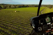 Helicopter Scenic Taster Flight - Barossa Valley