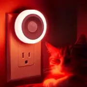 Motion Sensor Night Light [] Night Lights Plug into Wall, Auto 2 Pack Red