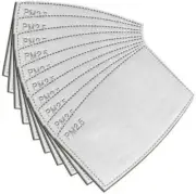 *Aussie Seller: NOT IN CHINA* 12 x PM2.5 Filters Filters