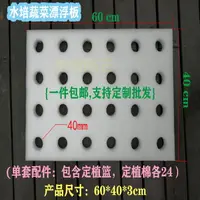 在飛比找樂天市場購物網優惠-{公司貨 最低價}魚菜共生全套水培漂浮板設備泡沫板蔬菜水稻浮