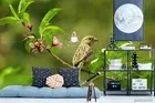 3D Branch Bird Wallpaper Wall Mural Removable Self-adhesive 218