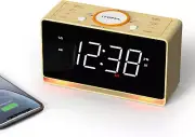 Alarm Clock Radio, 1.4" White LED Display Clock with Bluetooth, FM Radio, Dual A