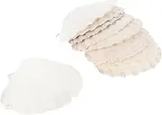 Homoyoyo 10PCS Natural Plates for DIY Art Unique Food Holders Safe Decoration for Home Party Shells Crafts for Catering Creative Projects