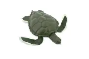 Green Sea Turtle, Realistic Toy Figure, Model, Replica, Gift, 4" CH319 BB131