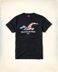 在飛比找Yahoo!奇摩拍賣優惠-Hollister Crew Graphic Tee Bla