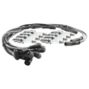 NGK Ignition Spark Plug Leads Wires Kit for Ford Falcon ED XR-8 EB GT