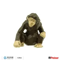 在飛比找誠品線上優惠-Preiser 29527 (HO) 黑猩猩