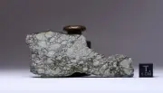NWA 16021 - 47,8g endcut - LL6 melt breccia - Meteorite