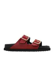 Arizona slides 37 red
