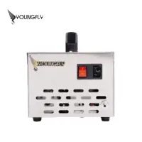 在飛比找momo購物網優惠-【Youngfly】耀飛商用水氧7克臭氧消毒機(關鍵水氧7克