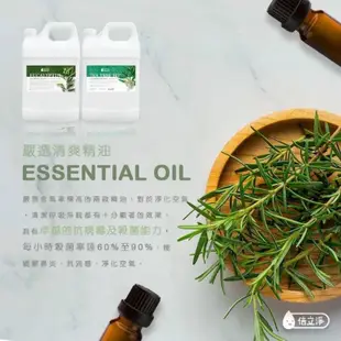 預購宅配免運倍立淨澳洲尤加利茶樹精油系列洗衣精4L 1罐+3補充包尤佳利洗衣精茶樹洗衣精