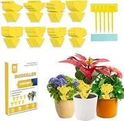 48 Pcs Yellow Sticky Traps for Gnats, Fruit Fly Traps for House Indoors, Fungus Gnat Sticky Traps for Plants, Incest Catcher for Whiteflies Mosquitoes Thrips Aphids