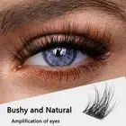 Natural Curled Simulation Eye Eyelashes 3D False Eyelashes Daily Makeup