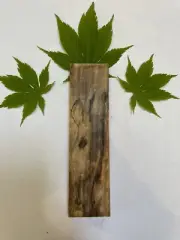 Stabilized Singular Spalted Maple Wood Knife Scale, Handle, Pistol Grip