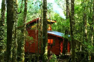 Cabanas Bosque Milenario