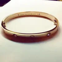 在飛比找蝦皮購物優惠-Cartier LOVE系列帶鑽手環