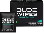 DUDE Wipes Flushable Wipes, Individually Wrapped Wet Wipes for Travel, Mint C...