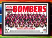 Framed 2022 ESSENDON BOMBERS AFL Poster - 84cm x 59.5cm x 3cm