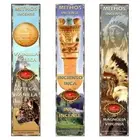 Americas Incense Sticks Set Vanilla Wood Resin Magnolia Scent Blends 144 sticks