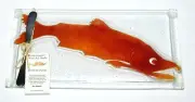 Lisa Stirrett Glass Art Studio 14-1/2" Sockeye Salmon Serving Tray NEW