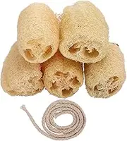5PCS Dish Loofah Sponges, Dishwashing Non Scratch Organic Luffa Sponge, Biodegradable, Nature Pot Scrubber for Kitchen Cleaning Shower Scrubbing