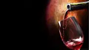 Red Wine season beautiful abstract wall art canvas home decor painting Modern