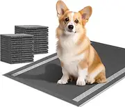 Camonti Dog and Puppy Pee Pads 100 Count, Pet Training Pads with Leak-Proof Quick-Dry Design for Potty Training, Strong Absorbency 23 x 23 Inches