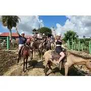 Save 11.99%! Experience Horse riding with Zipline and Dune Buggy