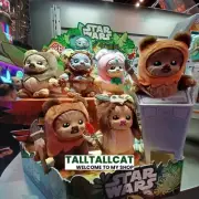 Hot Toys x Disney+ PPLU045N Star Wars Ewoks Cosbi Plush Keychain full box (8pcs)
