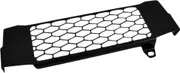 Zieger Honda CB 125R, radiator guard