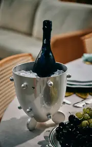 [Tania Bulhoes] Wine Bucket Esferas