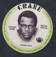 Complete 30 Disc 1976 Crane Football Set / Payton RC, Bradshaw, Staubach / Mint