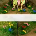 Enhance Your City Beautification Project with Mixed Wildflowers Grass Tufts