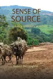 Sense of Source by Robert McLaughlin Paperback Book