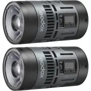 Godox RS60BI Bi-Colour LED Light 2 Light Kit