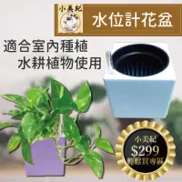 在飛比找momo購物網優惠-【小美紀】水位計花盆-七種顏色(造型花盆 儲水花盆 造景盆栽