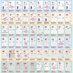 【龍德 LONGDER】LD-830-W-A 三用電腦標籤貼紙 A4 36格 24.7x70mm 白色 105張(標籤貼紙 電腦標籤 三用標籤)