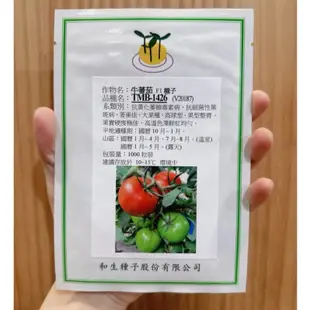 原包裝 1000粒 TMB-1426牛番茄種子 抗病牛番茄種子1426牛番茄種子 和生牛番茄種子 牛蕃茄種子 牛番茄種子