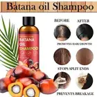 100% Batana Oil Shampoo for Hair Growth - 100% Pure & Natural Batana Shampoo