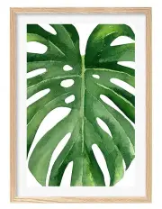 [Profile Australia] Australian Made Monstera Leaf Art Print A1 Frame in Natural