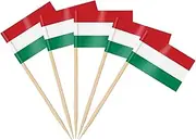 AhfuLife 100pcs Hungary Toothpick Flags, Hungary Cocktail Stick Flag for National Day Sandwich Food Cupcake Toppers Tableware World Cup Party Supplies Pub Royal Event Decor (Hungary, 100 Pcs)