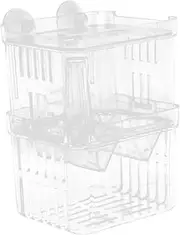 Box Fry Hatching Box Fish Breeding Tank Fish Color