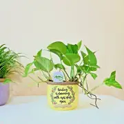 Hand-Painted "Reading is Dreaming with Eyes Wide Open" Pot – Book Lover's Decor