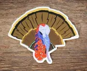 TURKEY Sticker Decal turkey hunting gobblers 4 1/2"x3 1/2" glossy weather proof