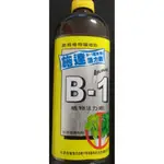 愛上種子 施達 活力素 B1 移植、扞插、分株、恢復植物活力使用